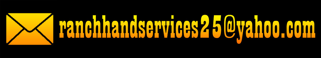 page divider ornament